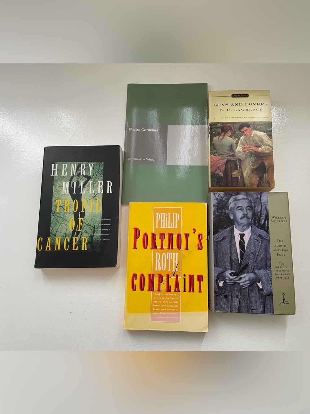 William faulkner, philip roth and other classic book bundle